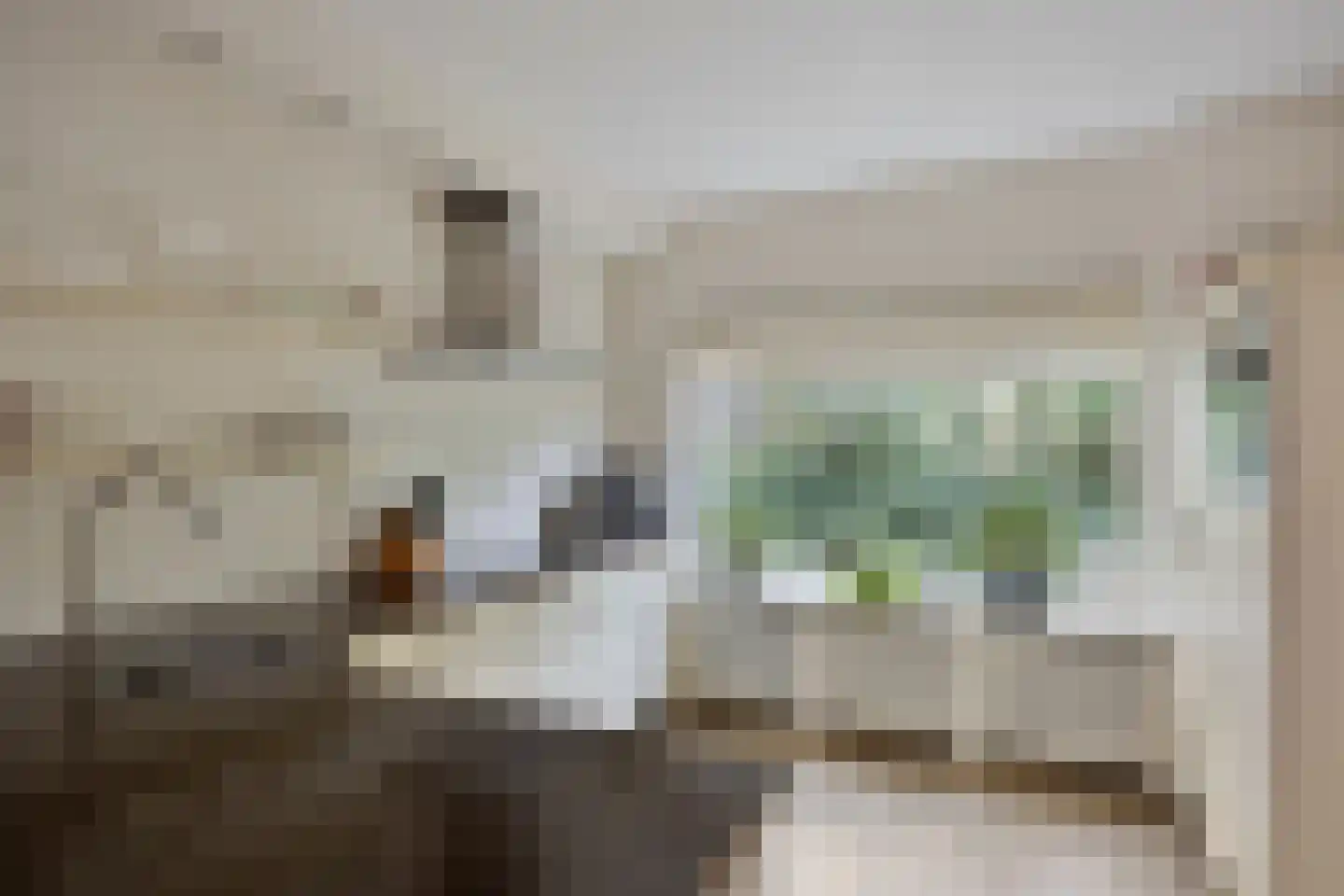 Dokter Schreuderstraat 13 Zwammerdam thumbnail 13