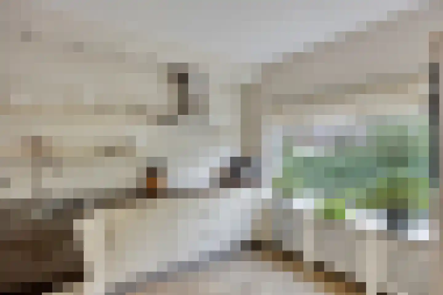 Dokter Schreuderstraat 13 Zwammerdam thumbnail 14