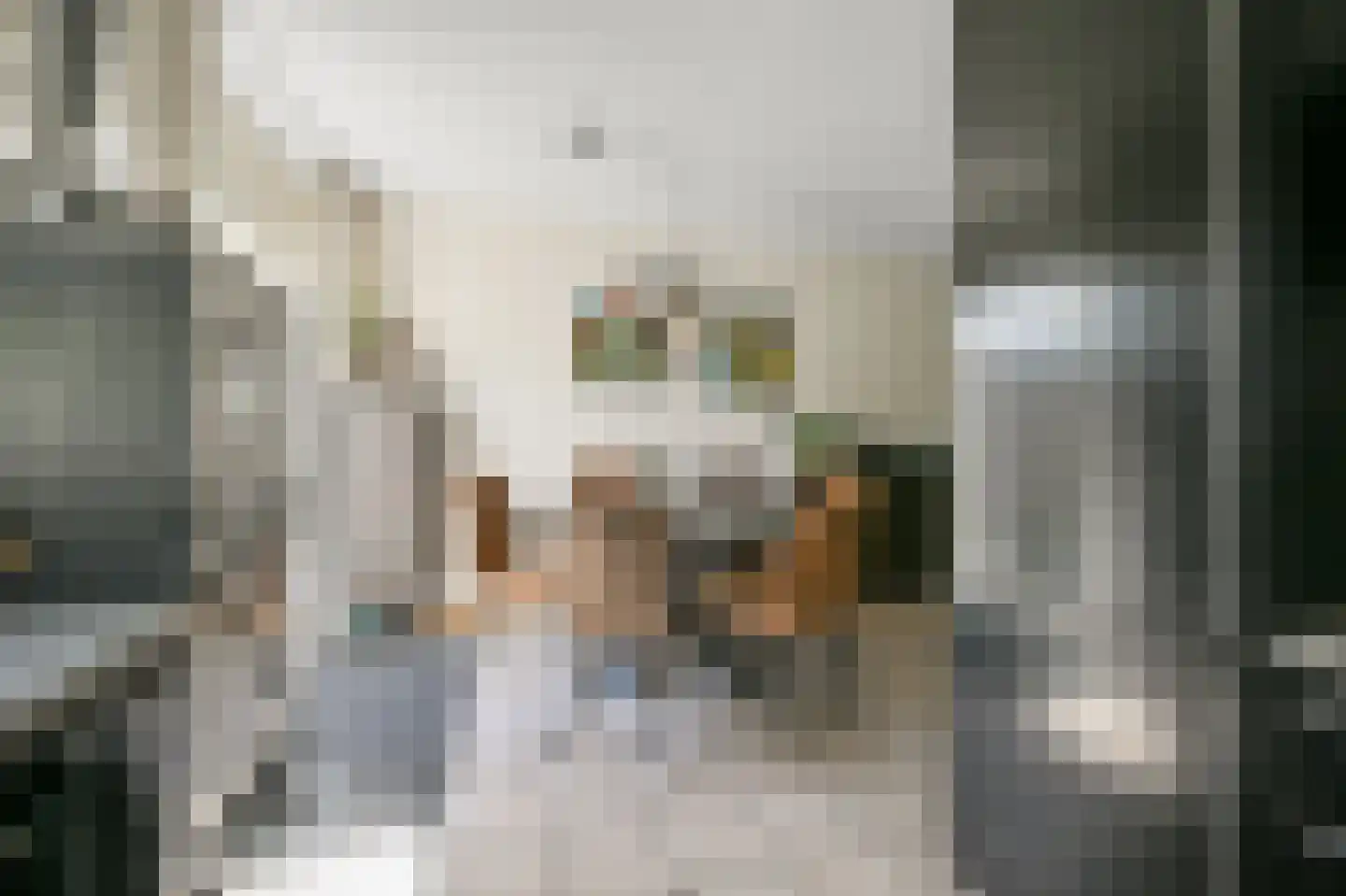 Dokter Schreuderstraat 9 Zwammerdam thumbnail 12