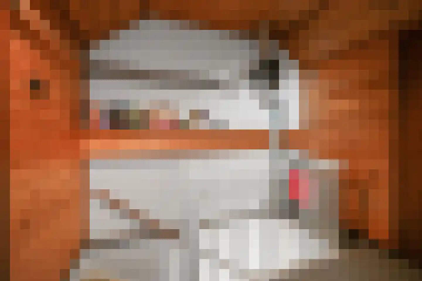 Dokter Schreuderstraat 9 Zwammerdam thumbnail 22