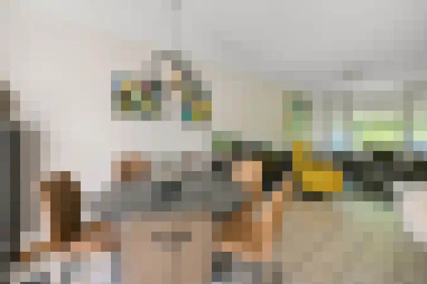 Dokter Schreuderstraat 9 Zwammerdam thumbnail 9
