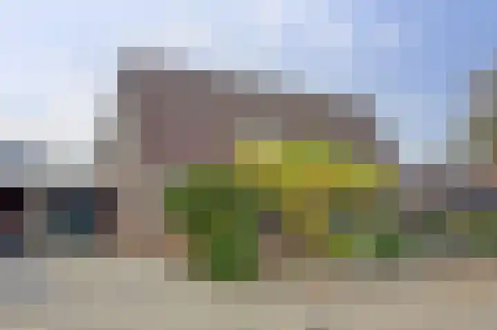 Dokter Schutterstraat 33 Oosterland thumbnail 33