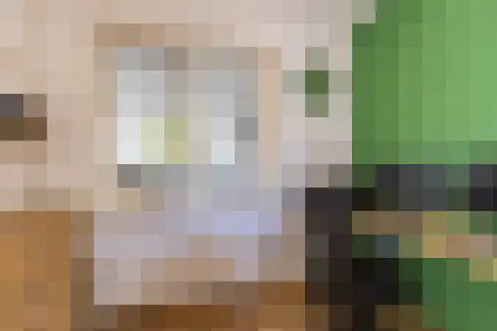 Dokter Siebingasingel 21 Opeinde thumbnail 10
