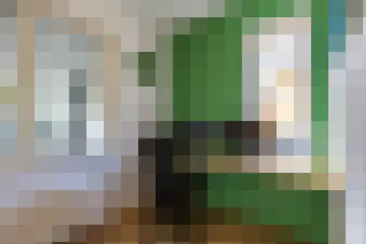 Dokter Siebingasingel 21 Opeinde thumbnail 11