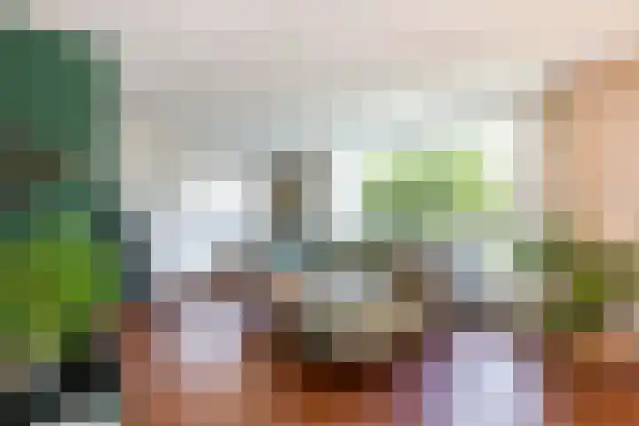 Dokter Siebingasingel 21 Opeinde thumbnail 16