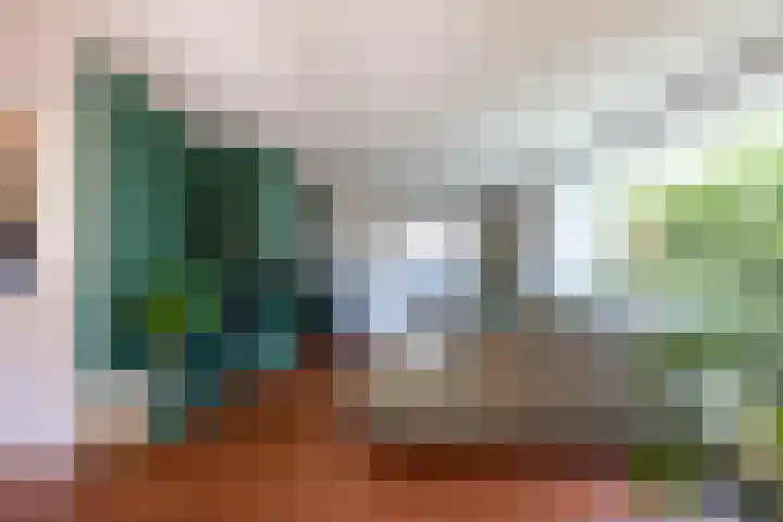 Dokter Siebingasingel 21 Opeinde thumbnail 17