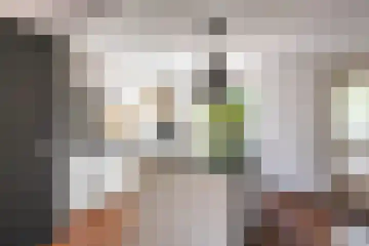 Dokter Siebingasingel 21 Opeinde foto 2