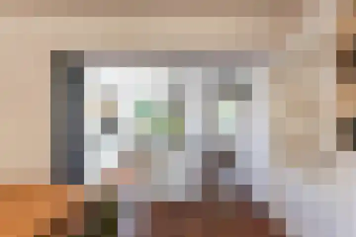 Dokter Siebingasingel 21 Opeinde thumbnail 21