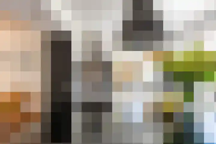 Dokter Siebingasingel 21 Opeinde thumbnail 22