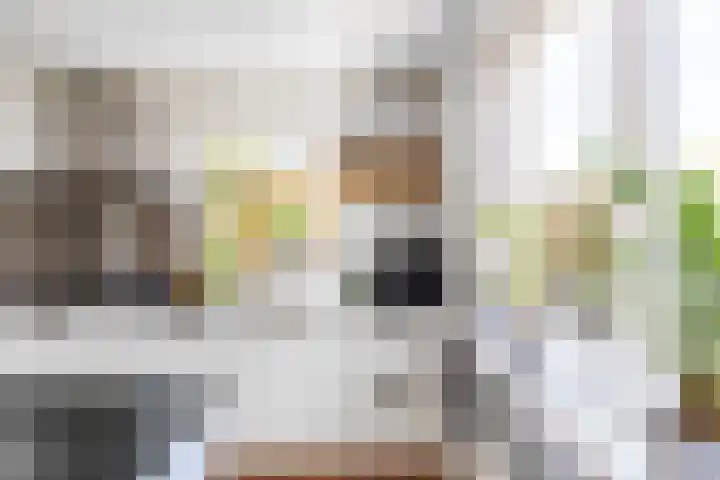 Dokter Siebingasingel 21 Opeinde thumbnail 24