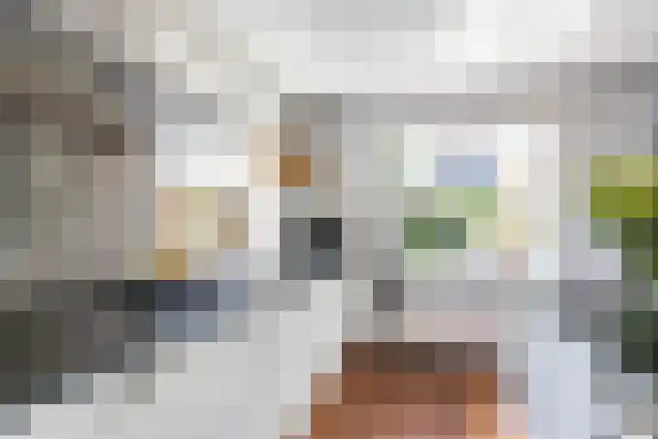Dokter Siebingasingel 21 Opeinde thumbnail 25