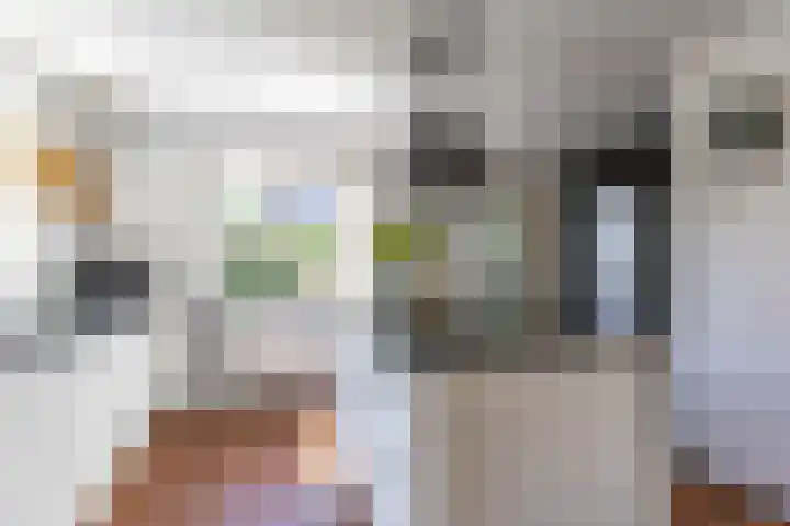 Dokter Siebingasingel 21 Opeinde thumbnail 27