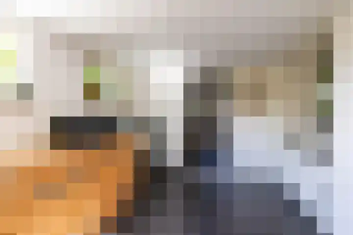 Dokter Siebingasingel 21 Opeinde thumbnail 29