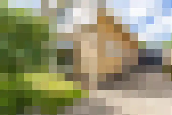 Dokter Siebingasingel 21 Opeinde thumbnail 4