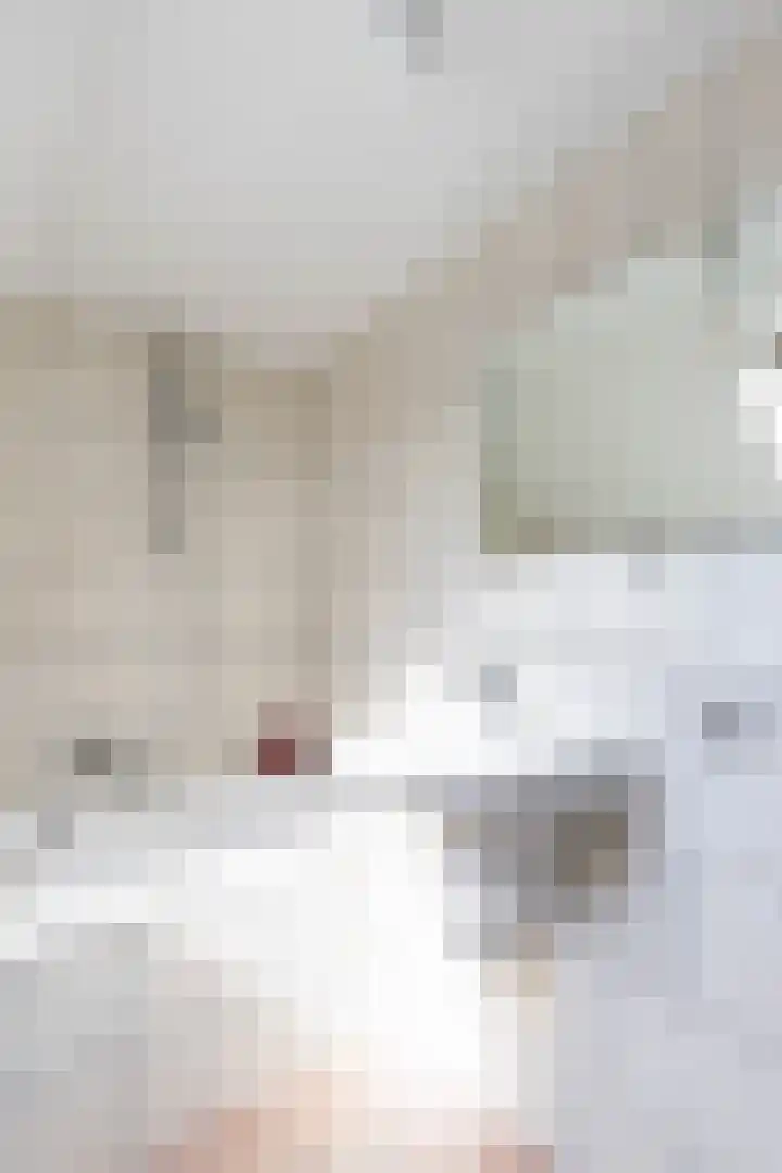Dokter Siebingasingel 21 Opeinde thumbnail 41