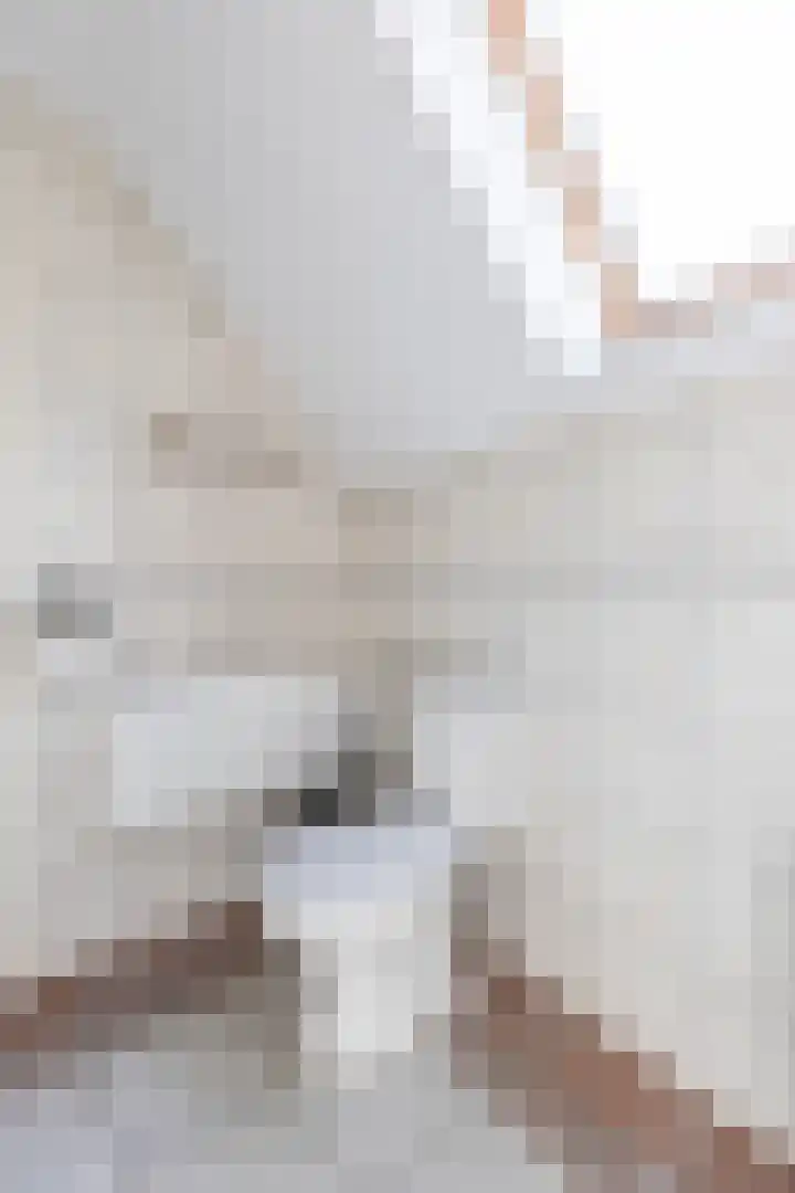 Dokter Siebingasingel 21 Opeinde thumbnail 42