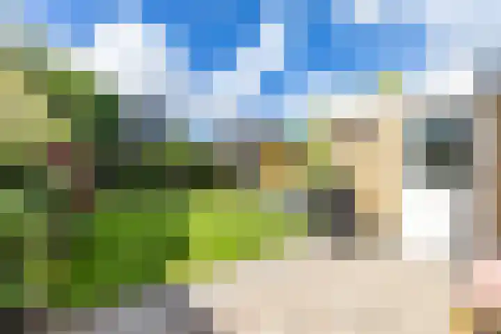Dokter Siebingasingel 21 Opeinde thumbnail 43