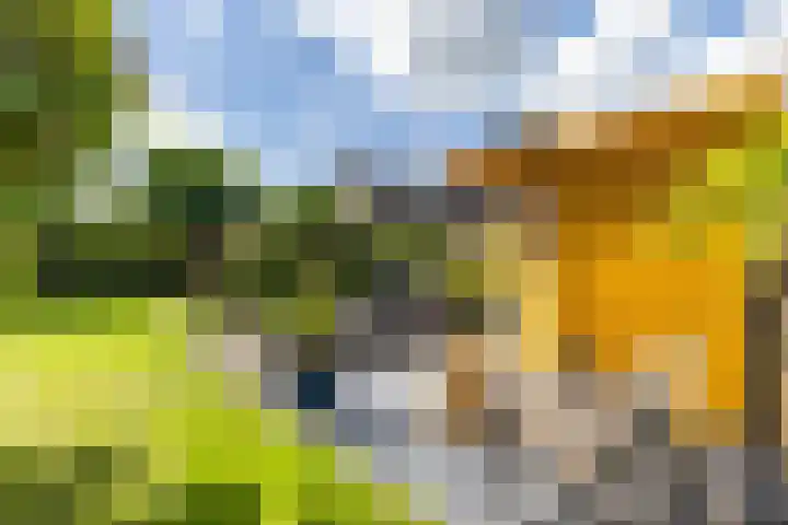 Dokter Siebingasingel 21 Opeinde thumbnail 44