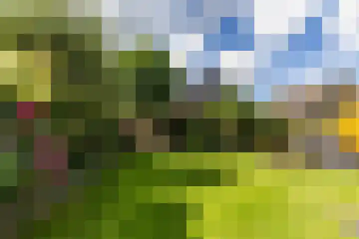 Dokter Siebingasingel 21 Opeinde thumbnail 45