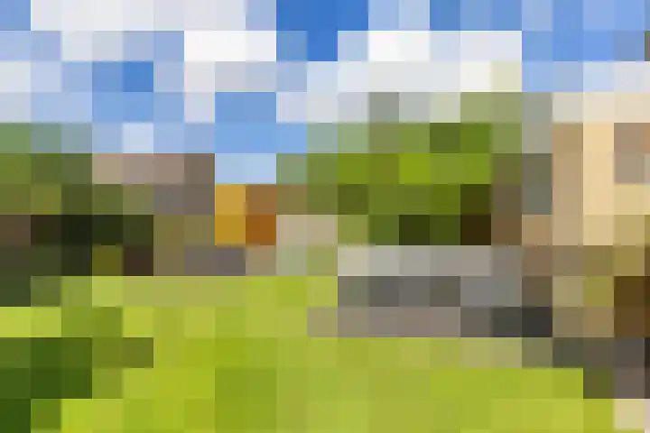 Dokter Siebingasingel 21 Opeinde thumbnail 46