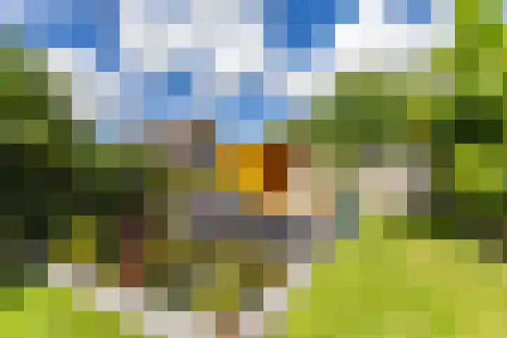 Dokter Siebingasingel 21 Opeinde thumbnail 47