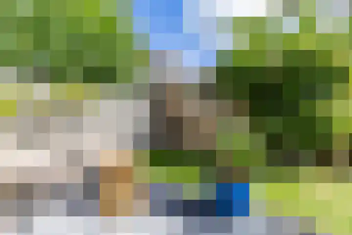 Dokter Siebingasingel 21 Opeinde thumbnail 50