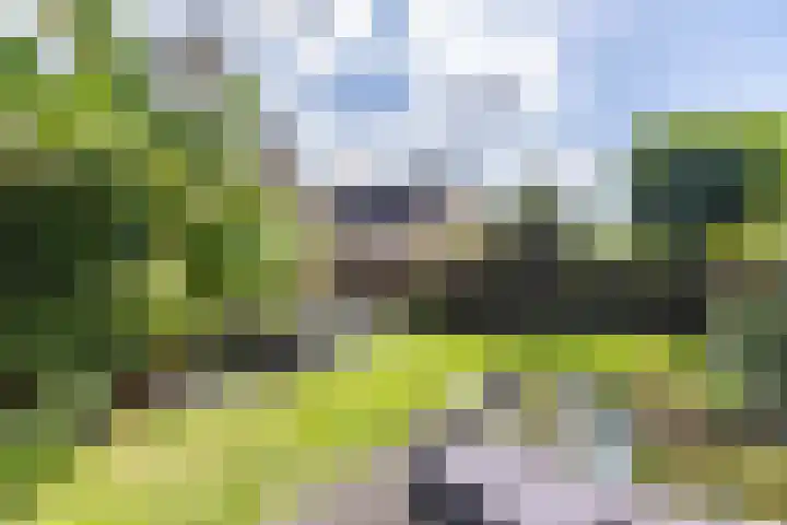 Dokter Siebingasingel 21 Opeinde thumbnail 51