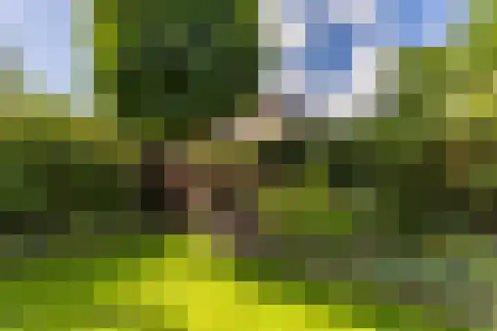 Dokter Siebingasingel 21 Opeinde thumbnail 53