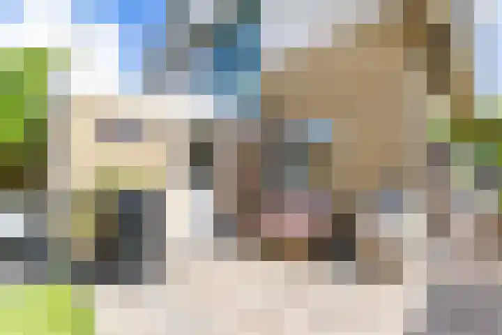 Dokter Siebingasingel 21 Opeinde thumbnail 56