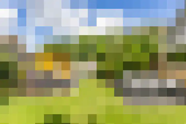 Dokter Siebingasingel 21 Opeinde thumbnail 57