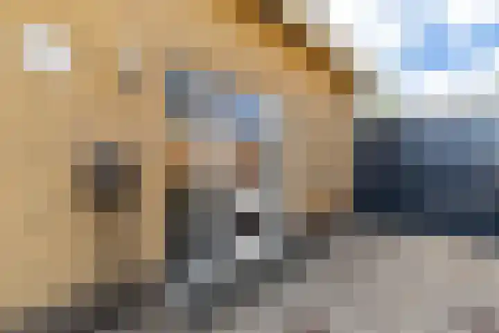 Dokter Siebingasingel 21 Opeinde thumbnail 6