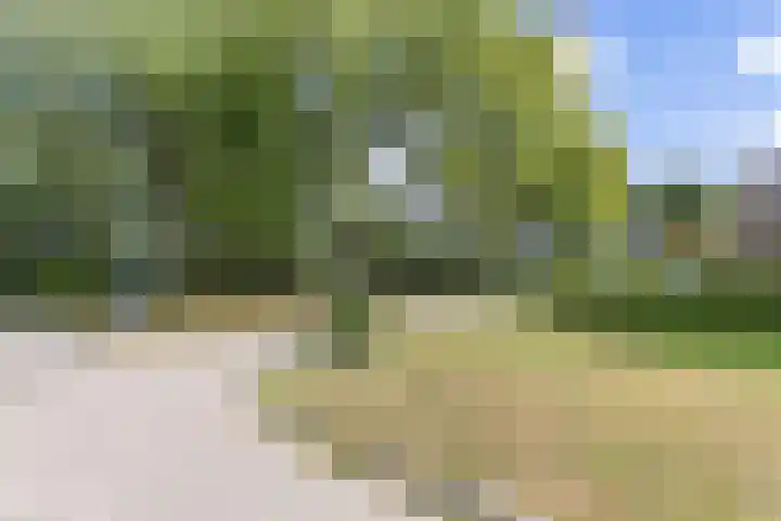 Dokter Siebingasingel 21 Opeinde thumbnail 60