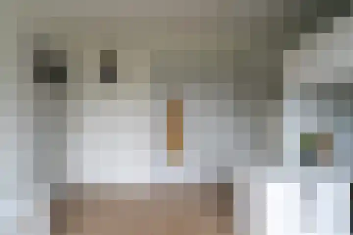 Dokter Slotstraat 1 Nieuw-Lekkerland thumbnail 20