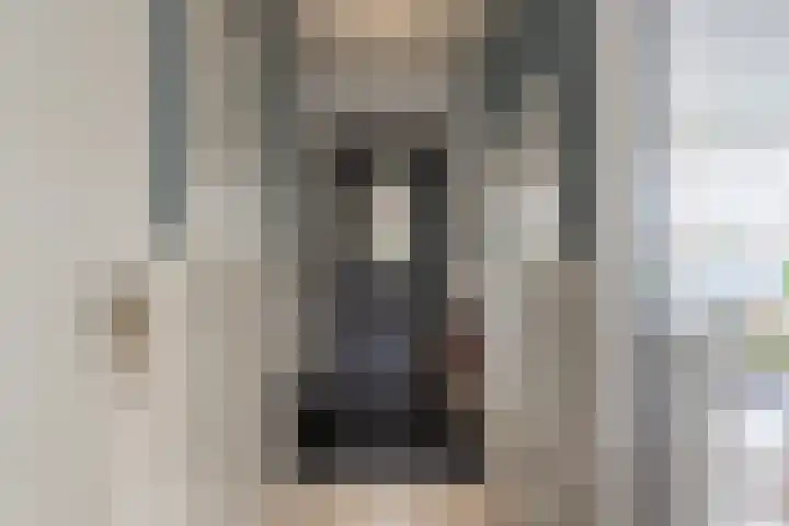 Dokter Slotstraat 1 Nieuw-Lekkerland thumbnail 6