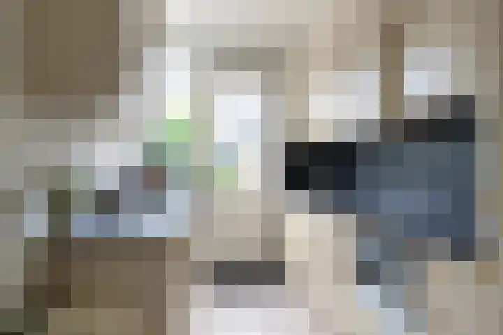 Dokter Slotstraat 1 Nieuw-Lekkerland thumbnail 8