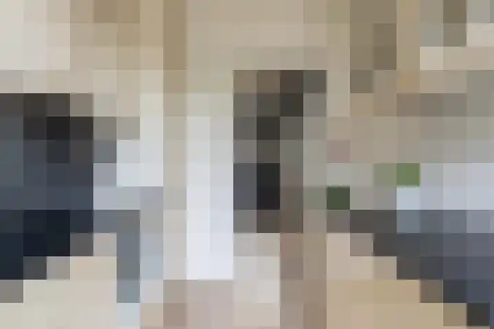 Dokter Slotstraat 1 Nieuw-Lekkerland thumbnail 9