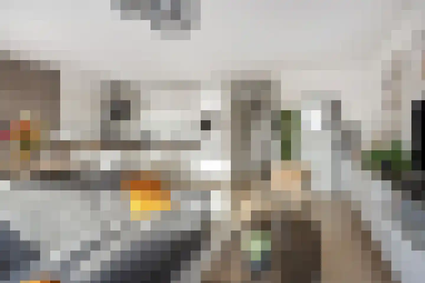 Dokter Stapenséastraat 11 Leimuiden thumbnail 16