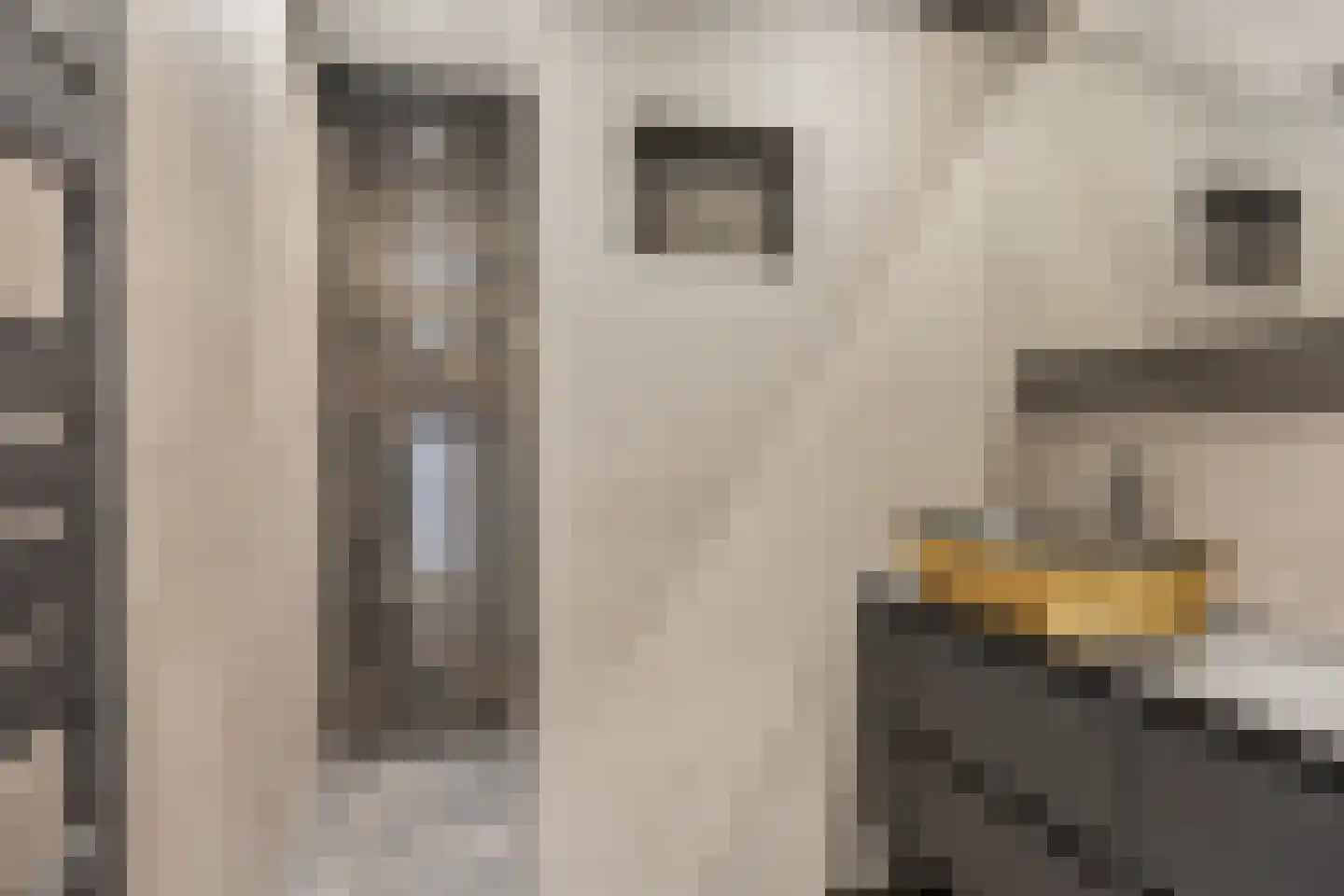 Dokter Stapenséastraat 11 Leimuiden thumbnail 29
