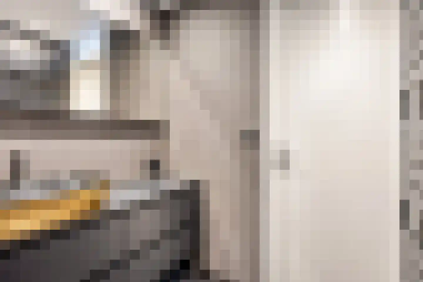 Dokter Stapenséastraat 11 Leimuiden thumbnail 31