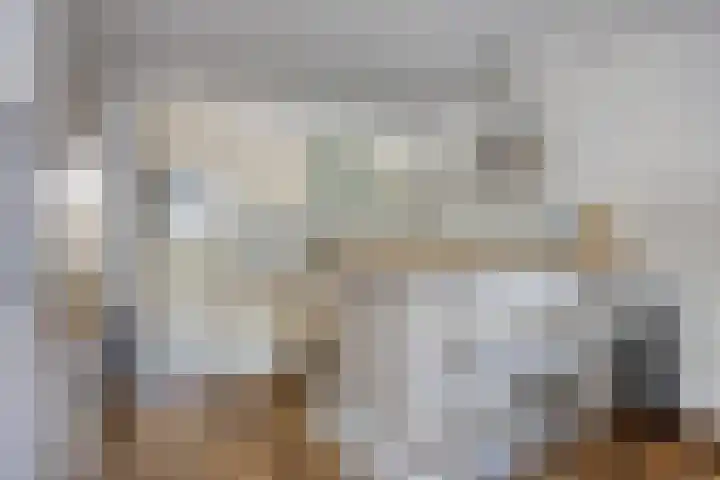 Dokter Stavermanstraat 43 b Vlissingen thumbnail 5