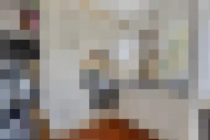 Dokter Stavermanstraat 51 Vlissingen thumbnail 8