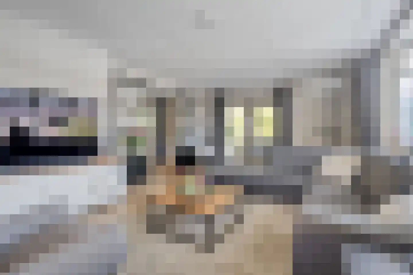 Dokter ter Borgstraat 1 Hellendoorn thumbnail 11