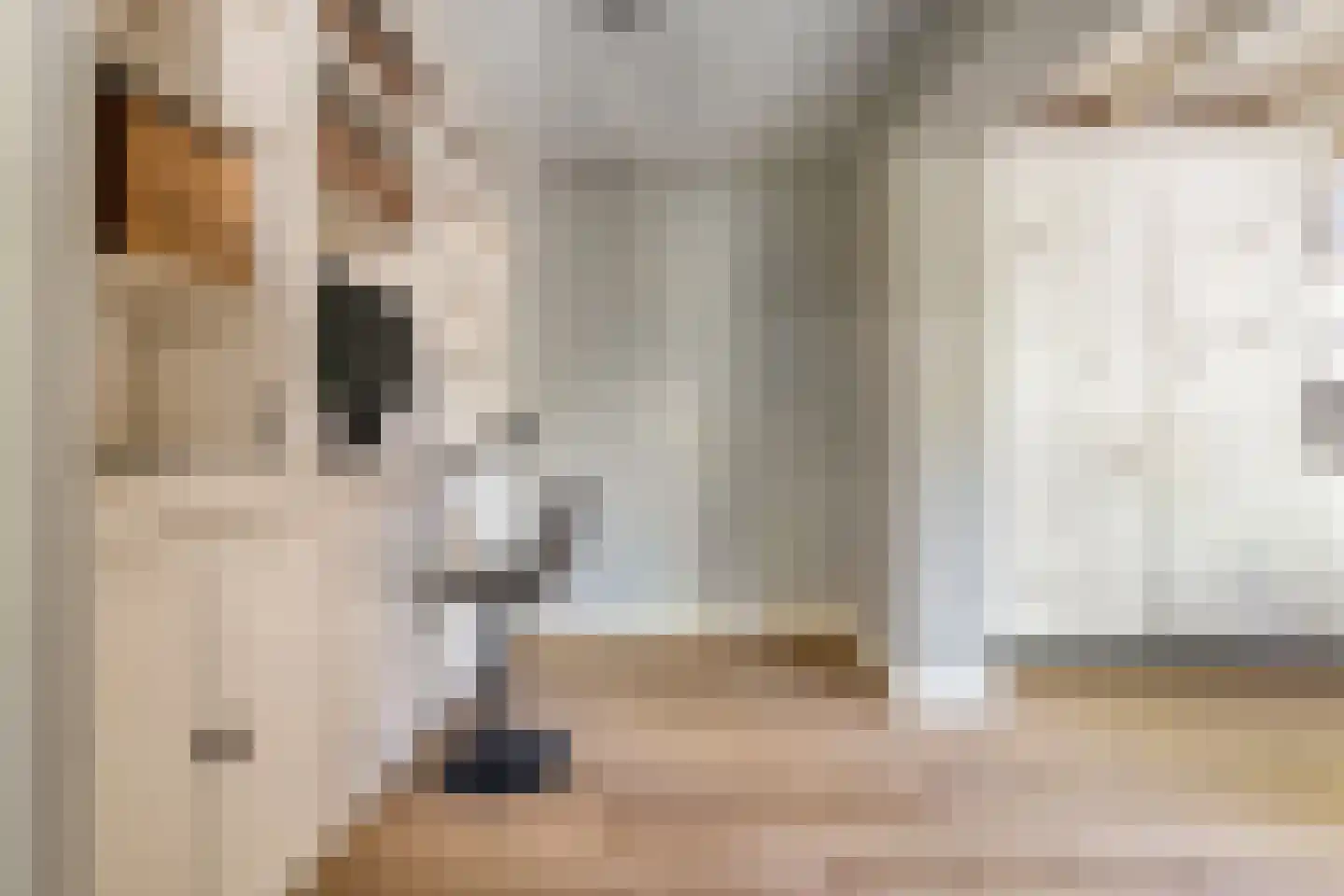 Dokter ter Borgstraat 1 Hellendoorn thumbnail 16
