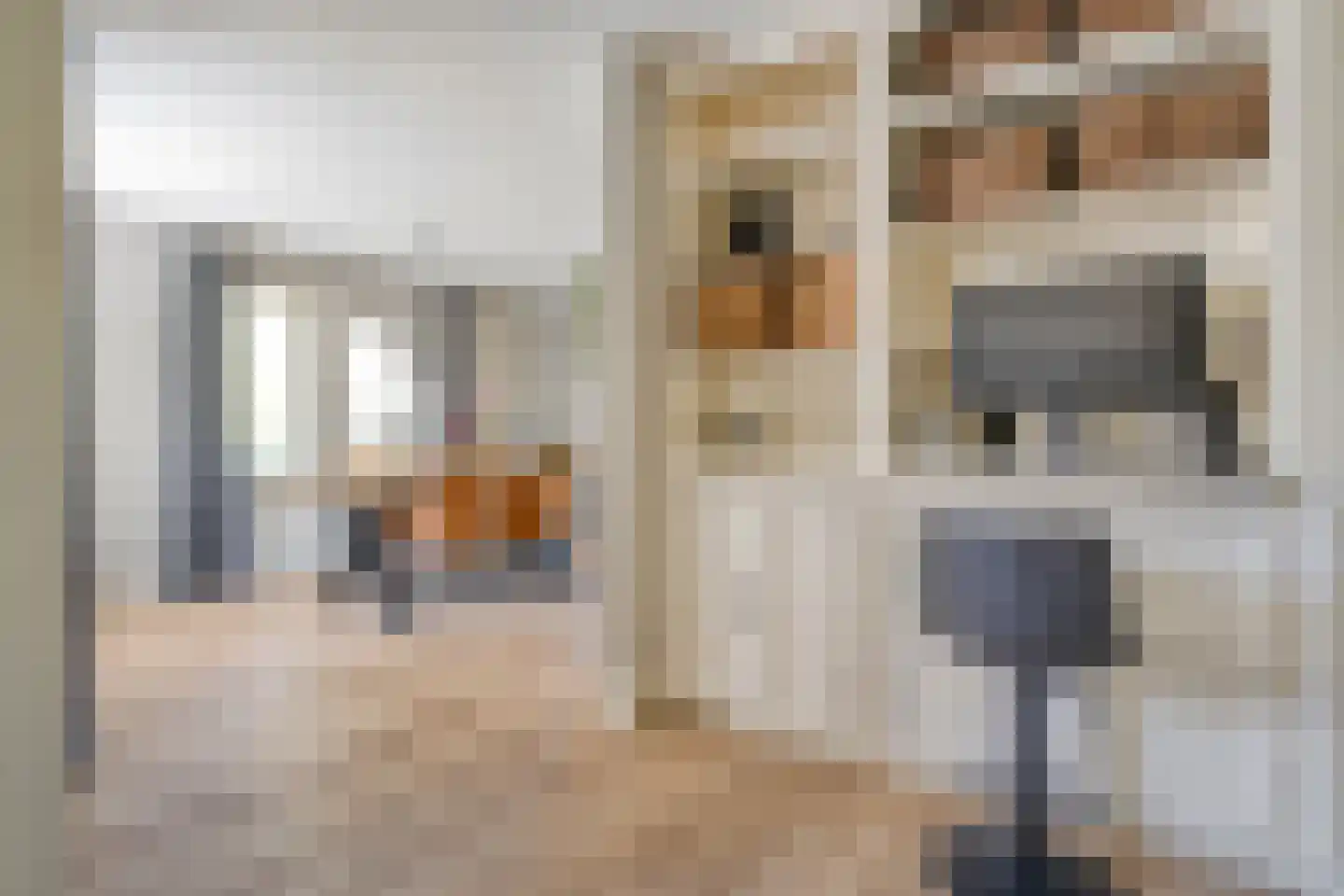 Dokter ter Borgstraat 1 Hellendoorn thumbnail 17
