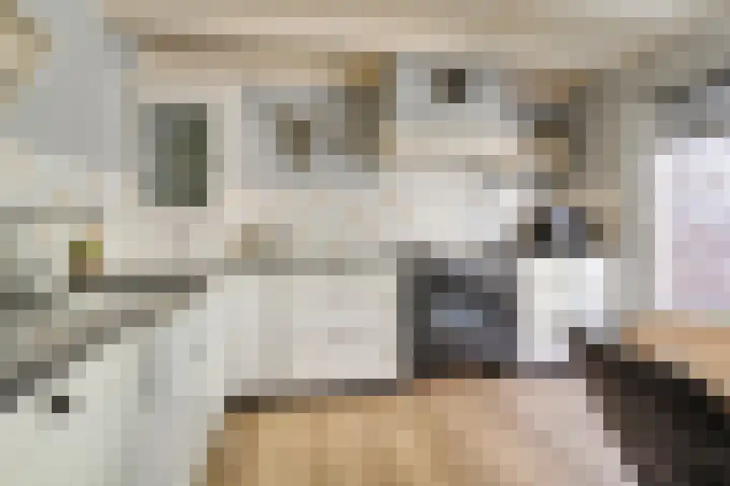 Dokter ter Borgstraat 1 Hellendoorn thumbnail 20