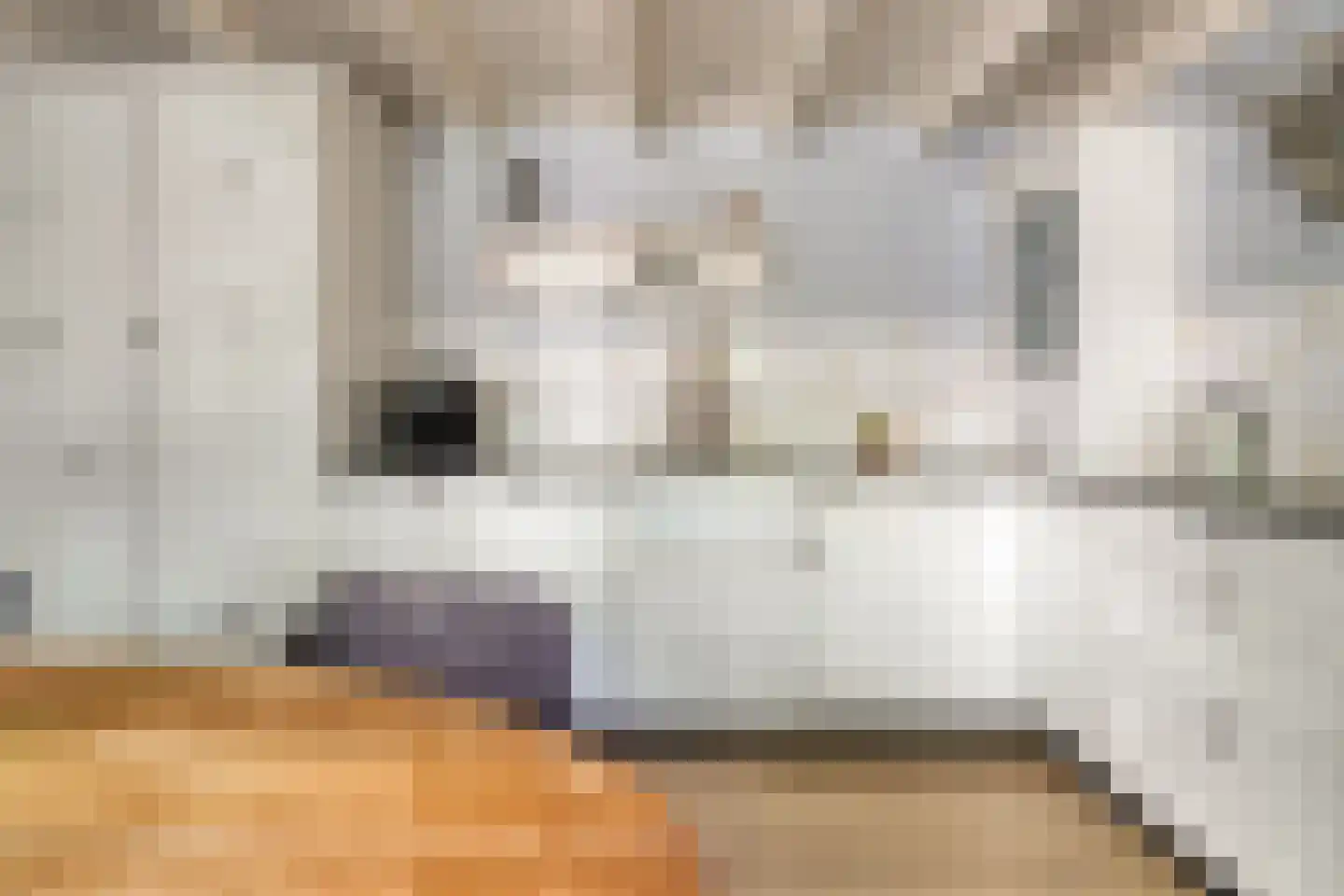 Dokter ter Borgstraat 1 Hellendoorn thumbnail 21