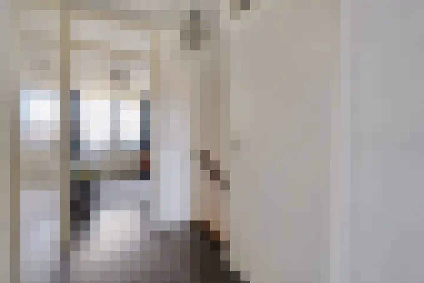 Dokter ter Borgstraat 1 Hellendoorn thumbnail 23