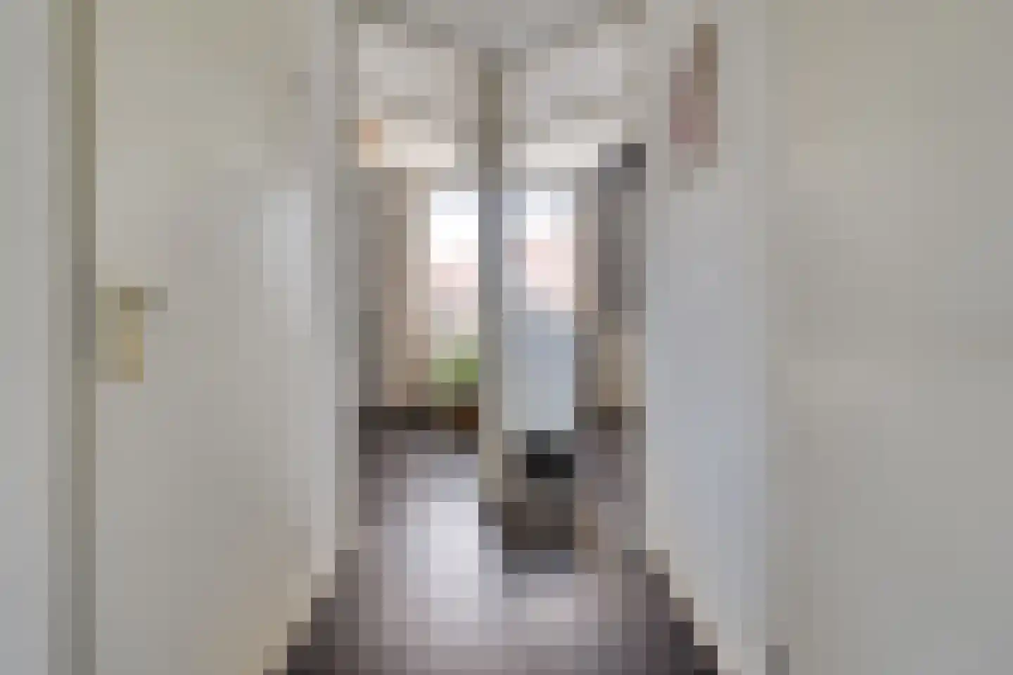Dokter ter Borgstraat 1 Hellendoorn thumbnail 24