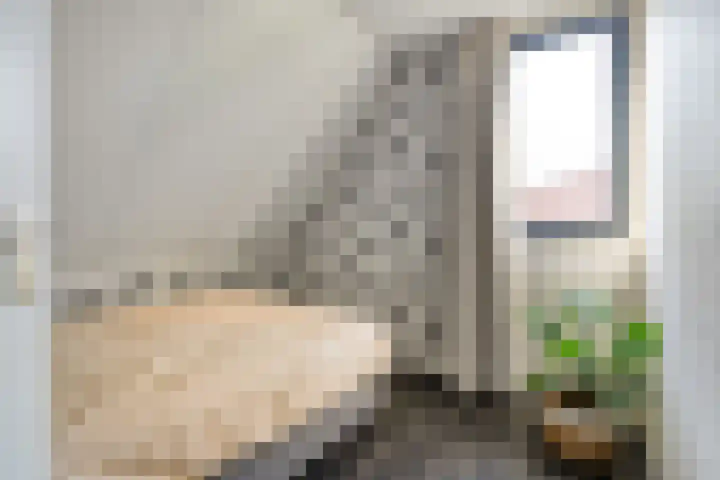 Dokter ter Borgstraat 1 Hellendoorn thumbnail 29