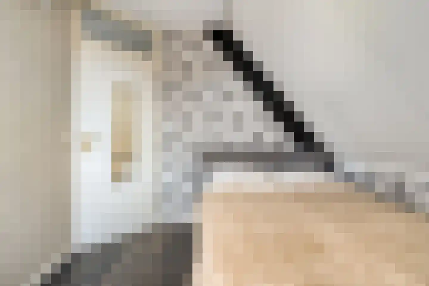 Dokter ter Borgstraat 1 Hellendoorn thumbnail 30